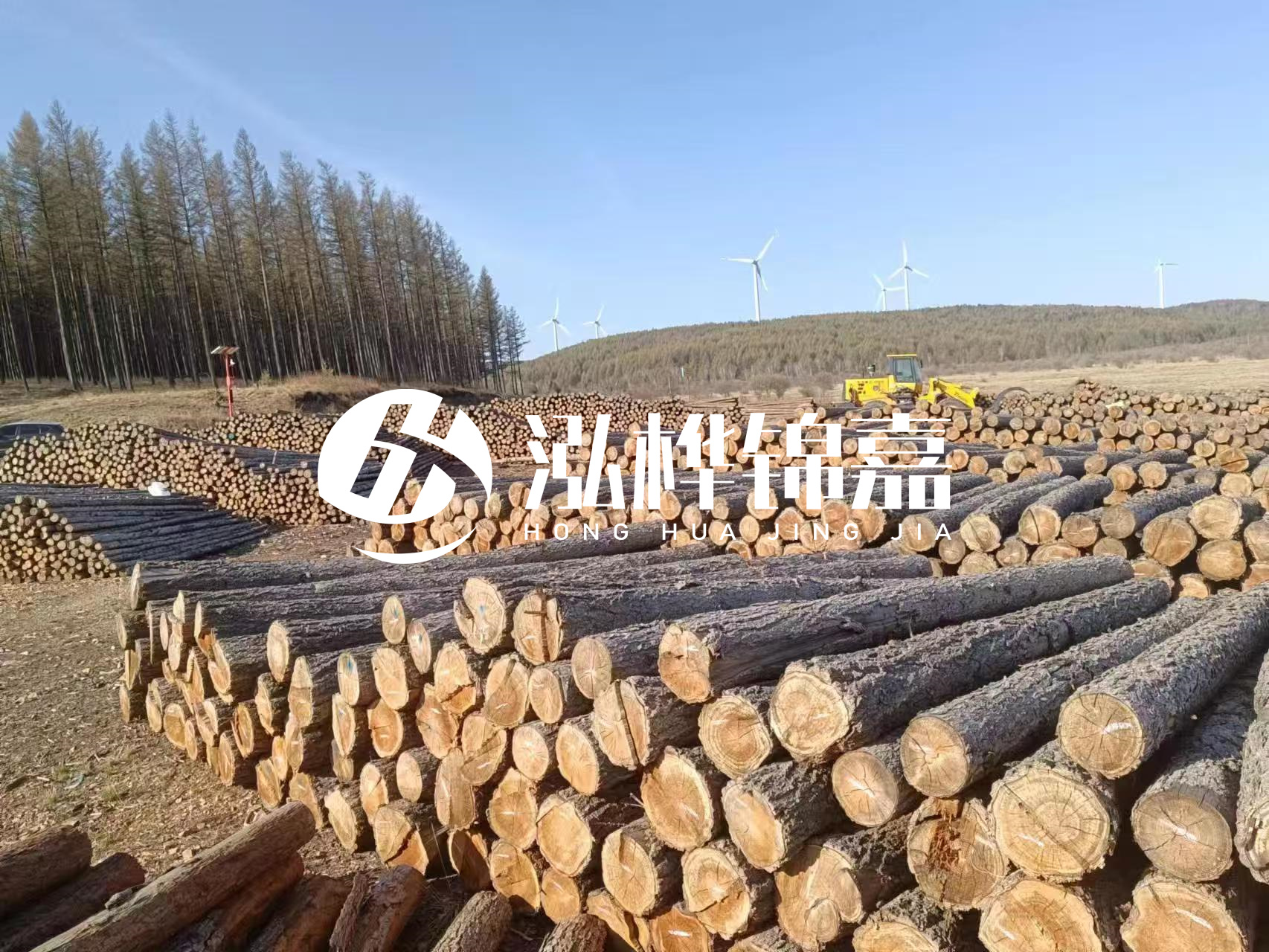 湘潭松木樁源頭廠家-松木樁與水泥樁的性價比對比如何?