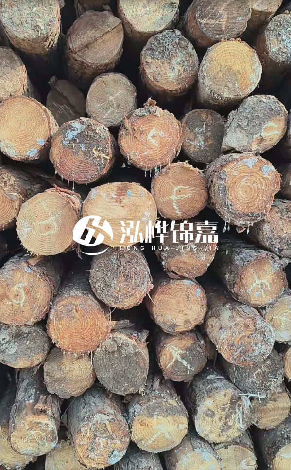 邵陽松木樁源頭廠家-松木樁護岸適合哪些地理環境?