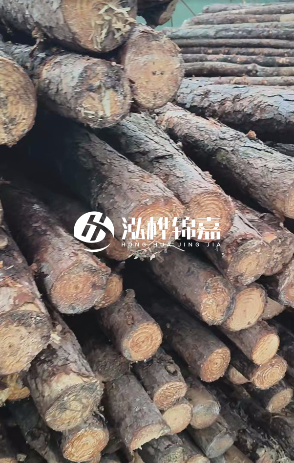 汕尾松木樁源頭廠家-松木樁在水中的耐久性如何?