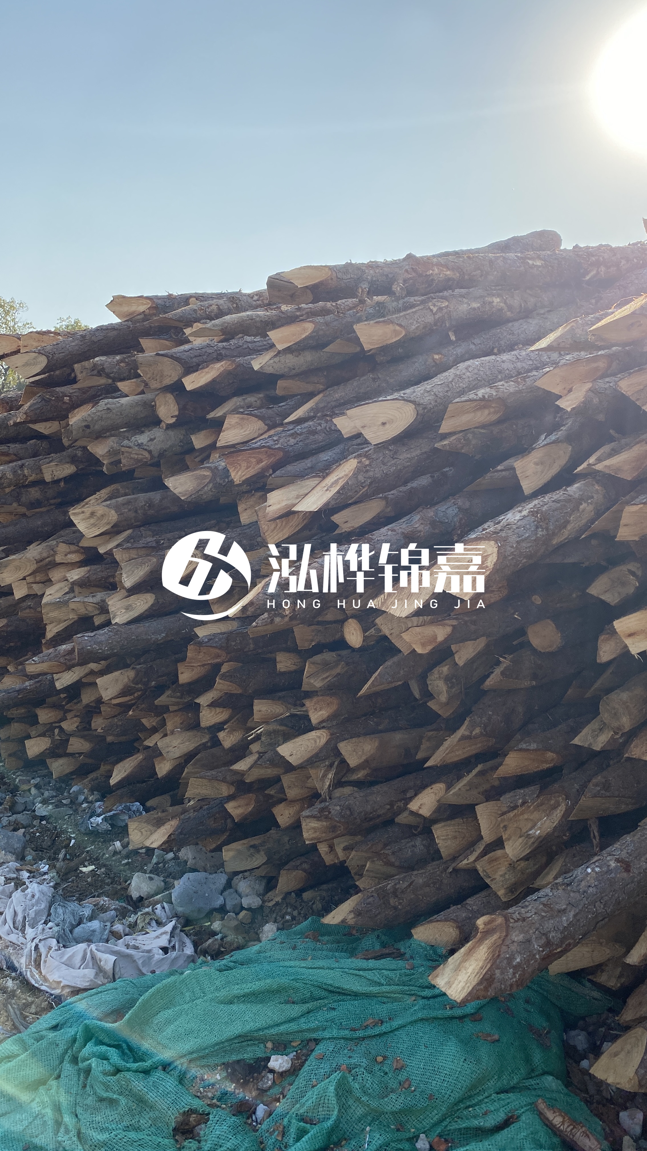 巴中松木樁源頭廠家-原木打樁木是否適合所有地質條件?