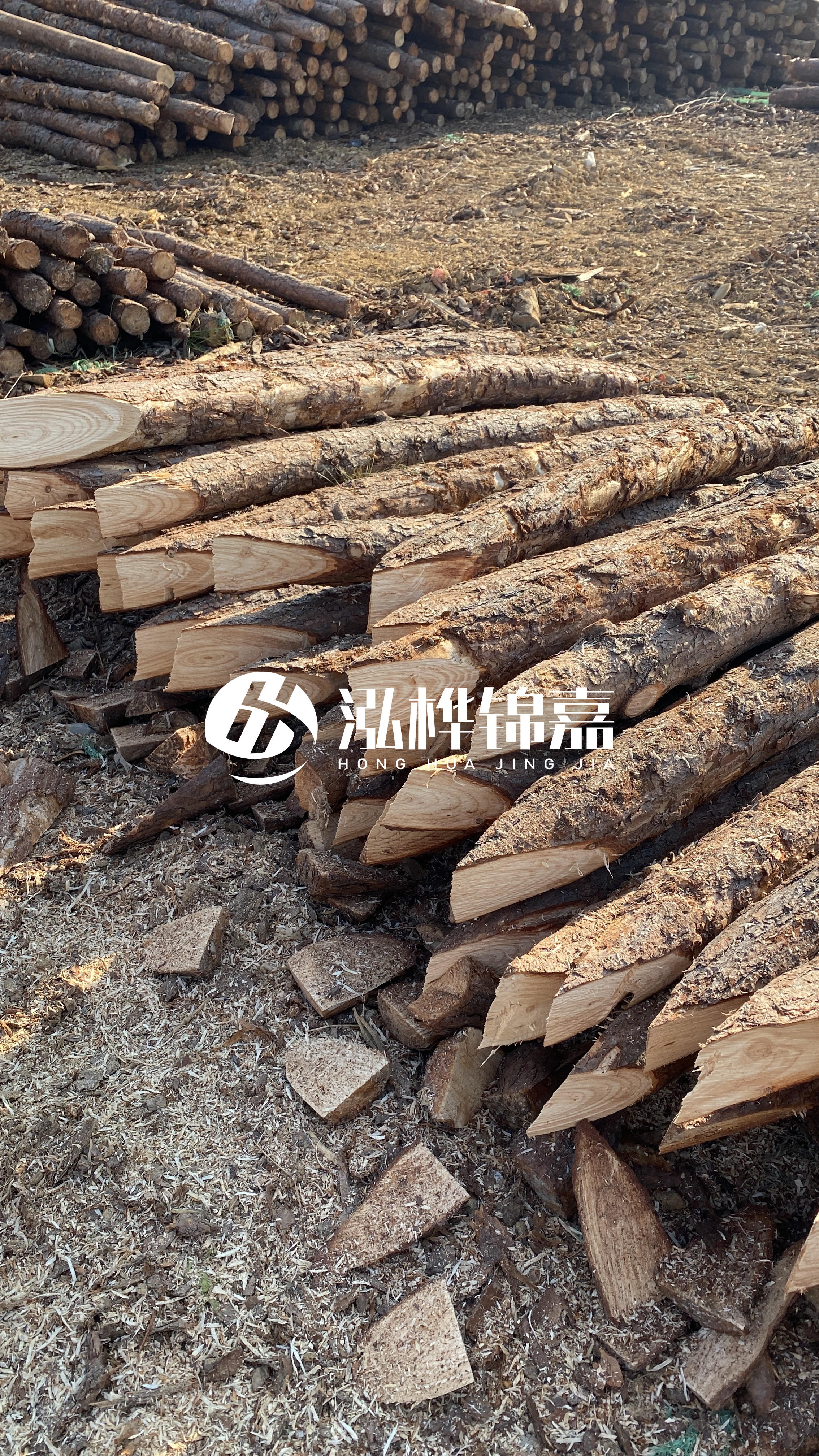 昭通松木樁源頭廠家-打樁木樁有什么用?