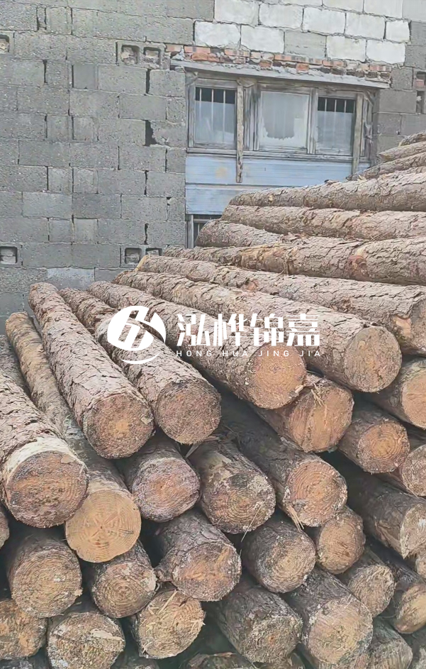 2025最新松木樁價(jià)格揭秘:松木樁一方到底多少錢?