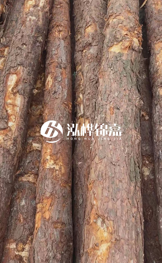 浙江地區(qū)大量供應(yīng)松木樁,源頭廠家在哪里?