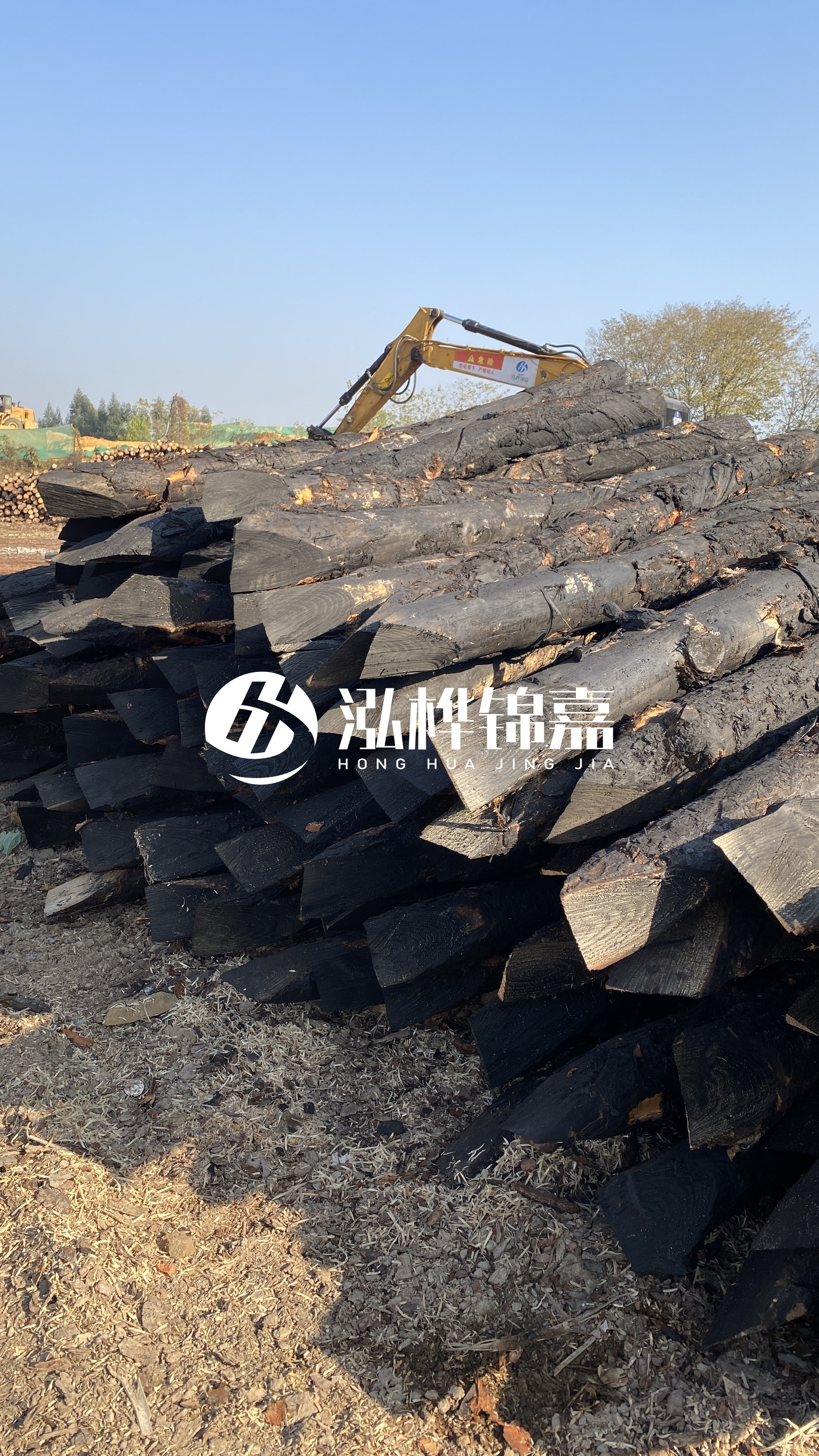 如何辨別優質的松木樁廠家?助你避開雷區!