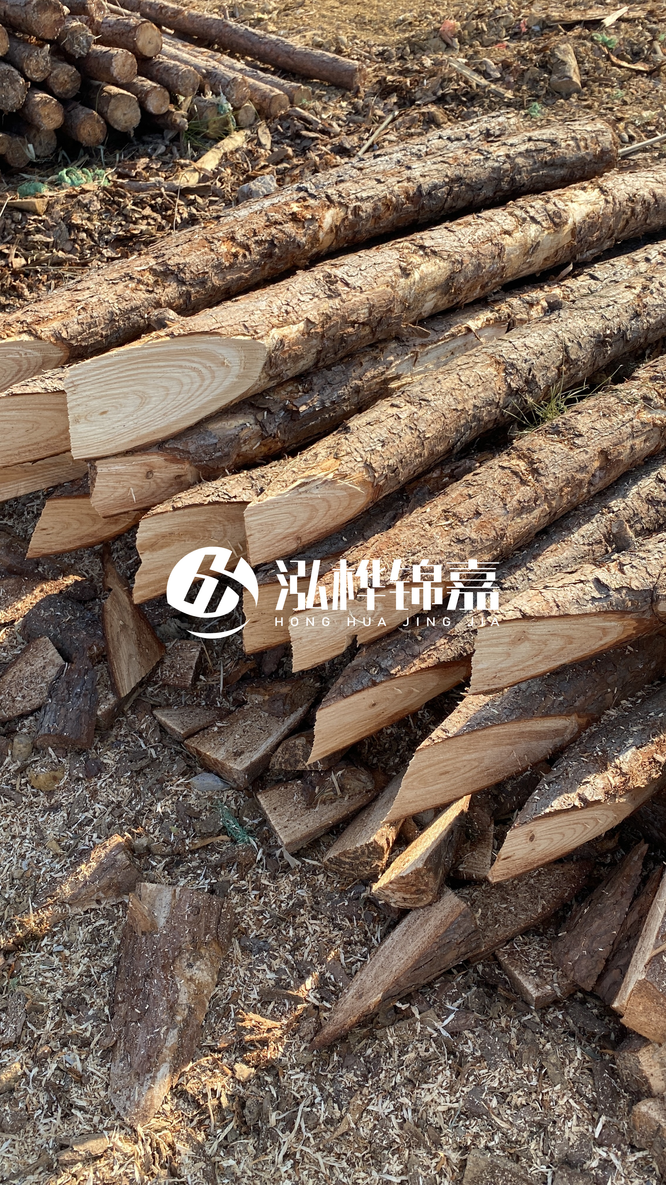 3米8公分松木樁價(jià)格是多少?市場(chǎng)最新報(bào)價(jià)大公開!