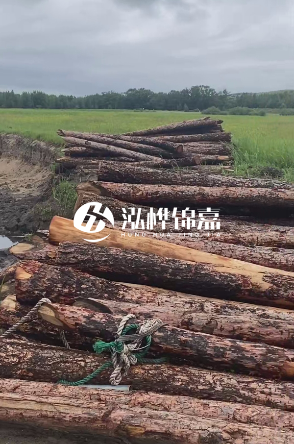 4米松木樁多少錢一根?松木樁預(yù)算單價(jià)怎么算的?