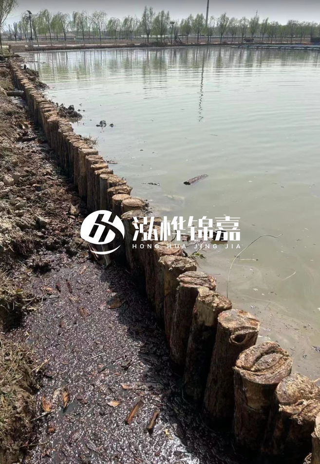 長(zhǎng)沙松木樁批發(fā)市場(chǎng)在哪?廠家地址是多少?