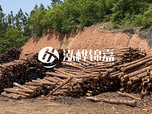 油松打樁木和落葉松打樁木的價格差異是多少?哪個性價比更高?