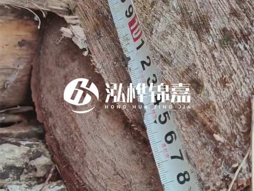 打木樁有什么好處？打樁木適用范圍有哪些要求？