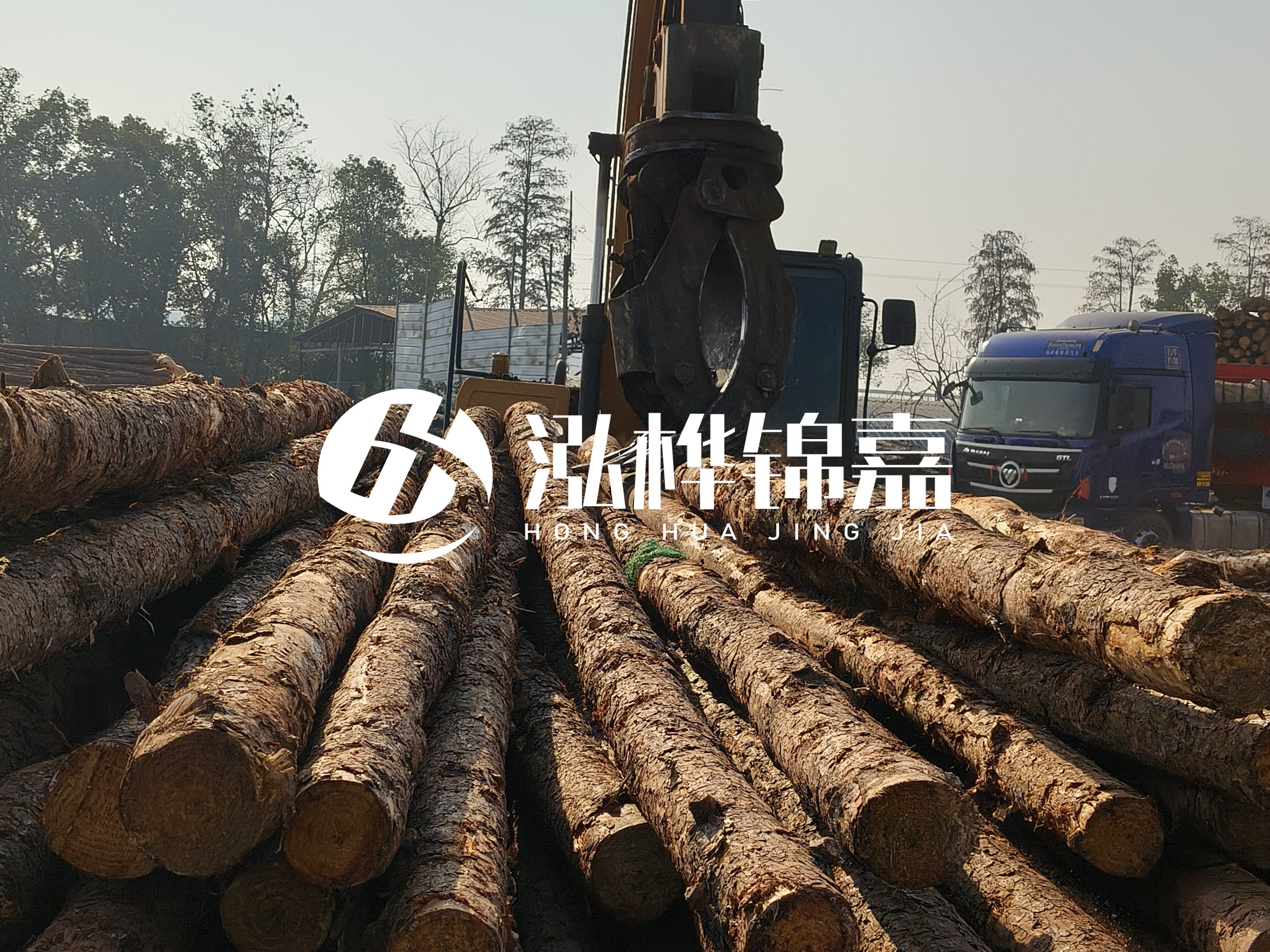 松木樁可以用來做什么？常用于哪些工程？