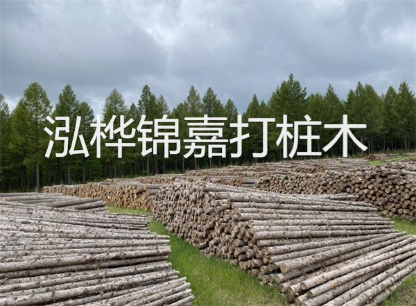 軟土地基的處理及技術方法