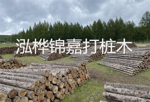 砼仿松木樁河岸施工,保護生態,打造美麗城市