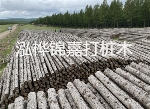 美的冰箱質量怎么樣,為什么冰箱不建議買深顏色的